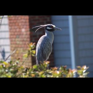 Meet your Posher, Robert